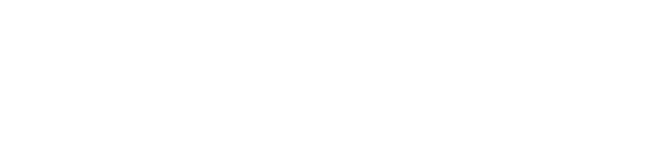 Netsol